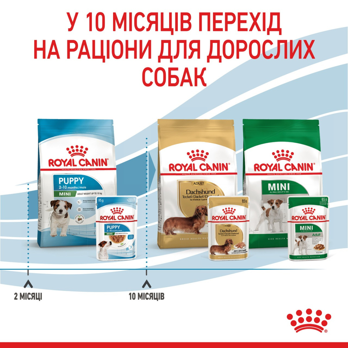 Влажный корм для щенков маленьких пород в возрасте от 2 до 10 месяцев Royal Canin Mini Puppy