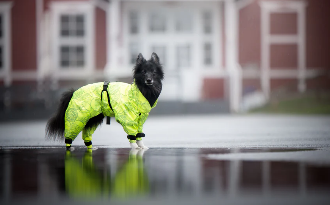 Водонепроницаемый костюм со светоотражающим узором для собак PAIKKA Rain Suit