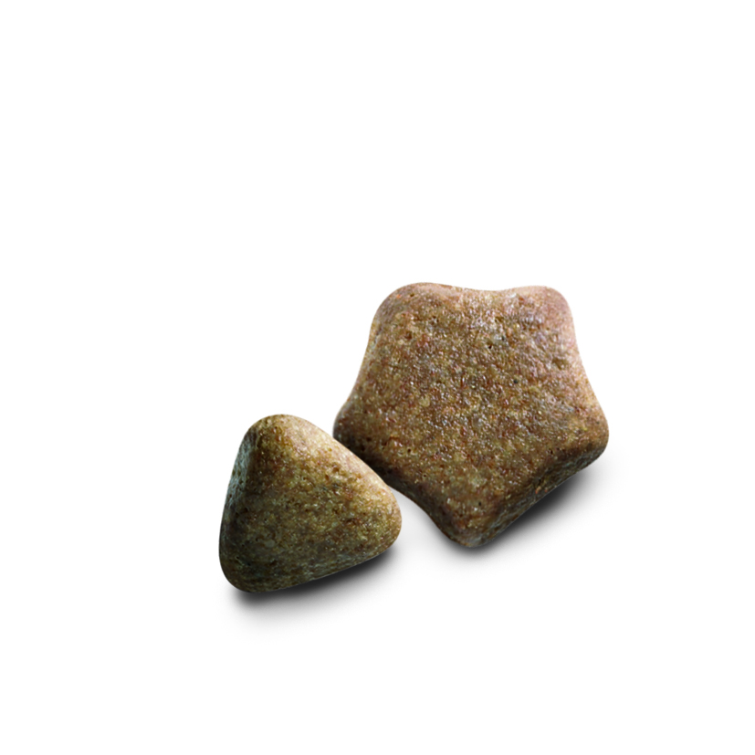 Сухой корм з ягненком для взрослых собак в возрасте от 1 года Purina Dog Chow Adult With Lamb