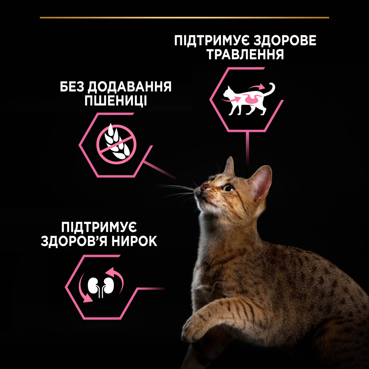 Сухий корм з ягням для вибагливих котів з чутливим травленням Purina Pro Plan Delicate Digestion Adult 1+ Lamb