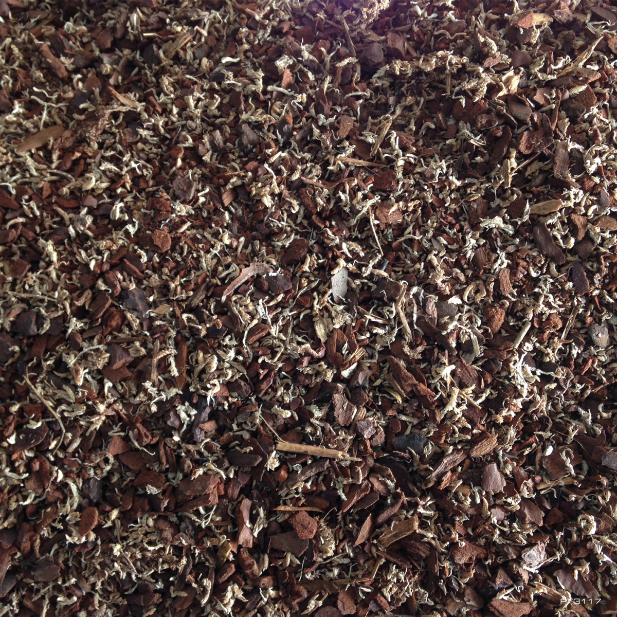 Натуральная смесь морской сосны и мха сфагнума для террариума Exo Terra Rain Forest