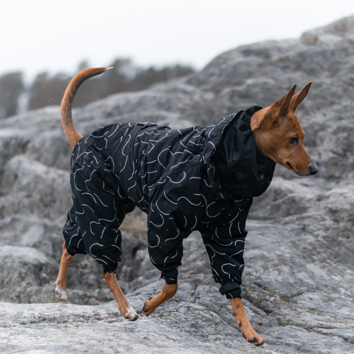 Водонепроницаемый зимний костюм со светоотражающим узором для собак PAIKKA Winter Suit Водонепроницаемый зимний костюм со светоотражающим узором для собак PAIKKA Winter Suit