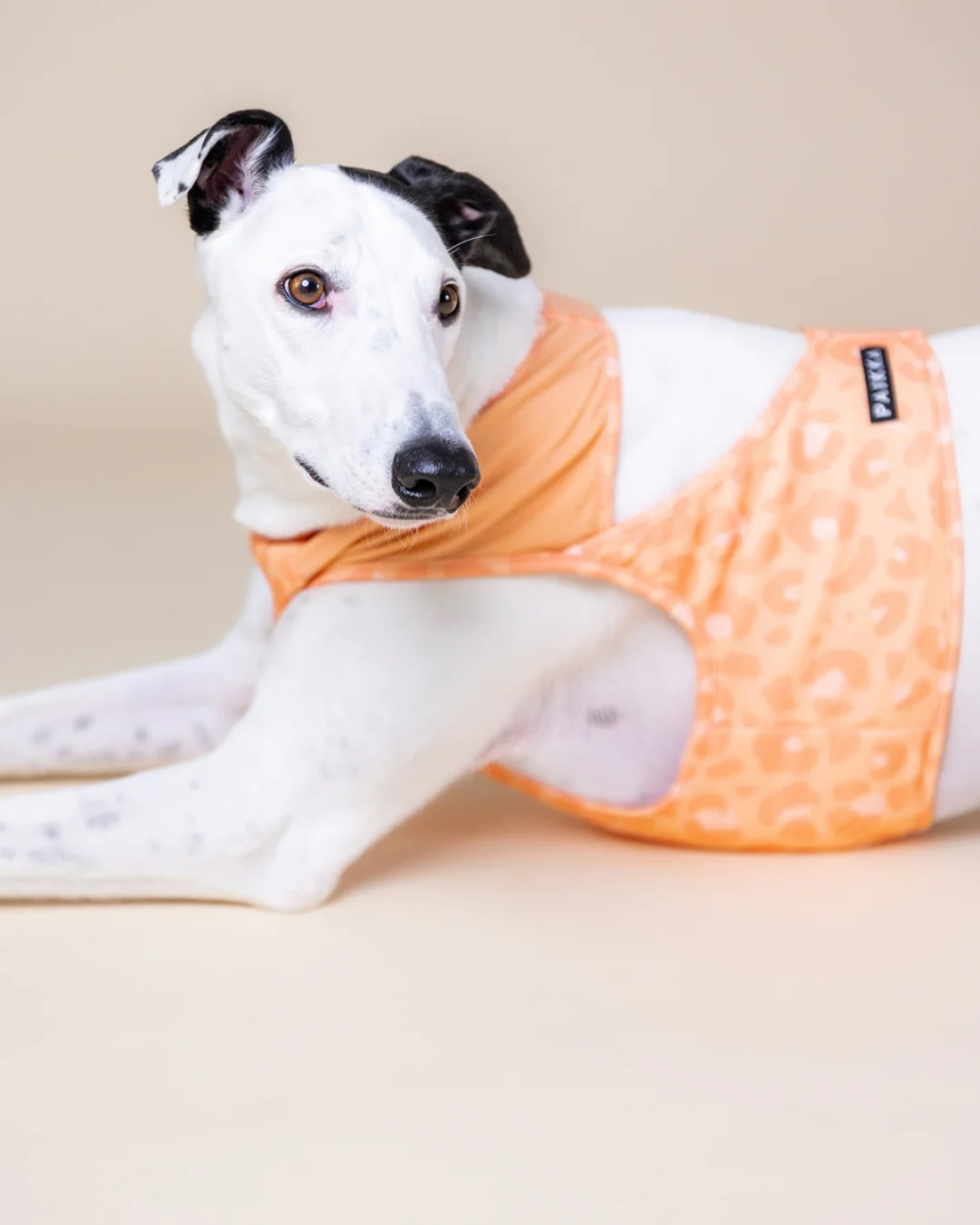 Охолоджуючий жилет для собак PAIKKA Cool Vest Peach