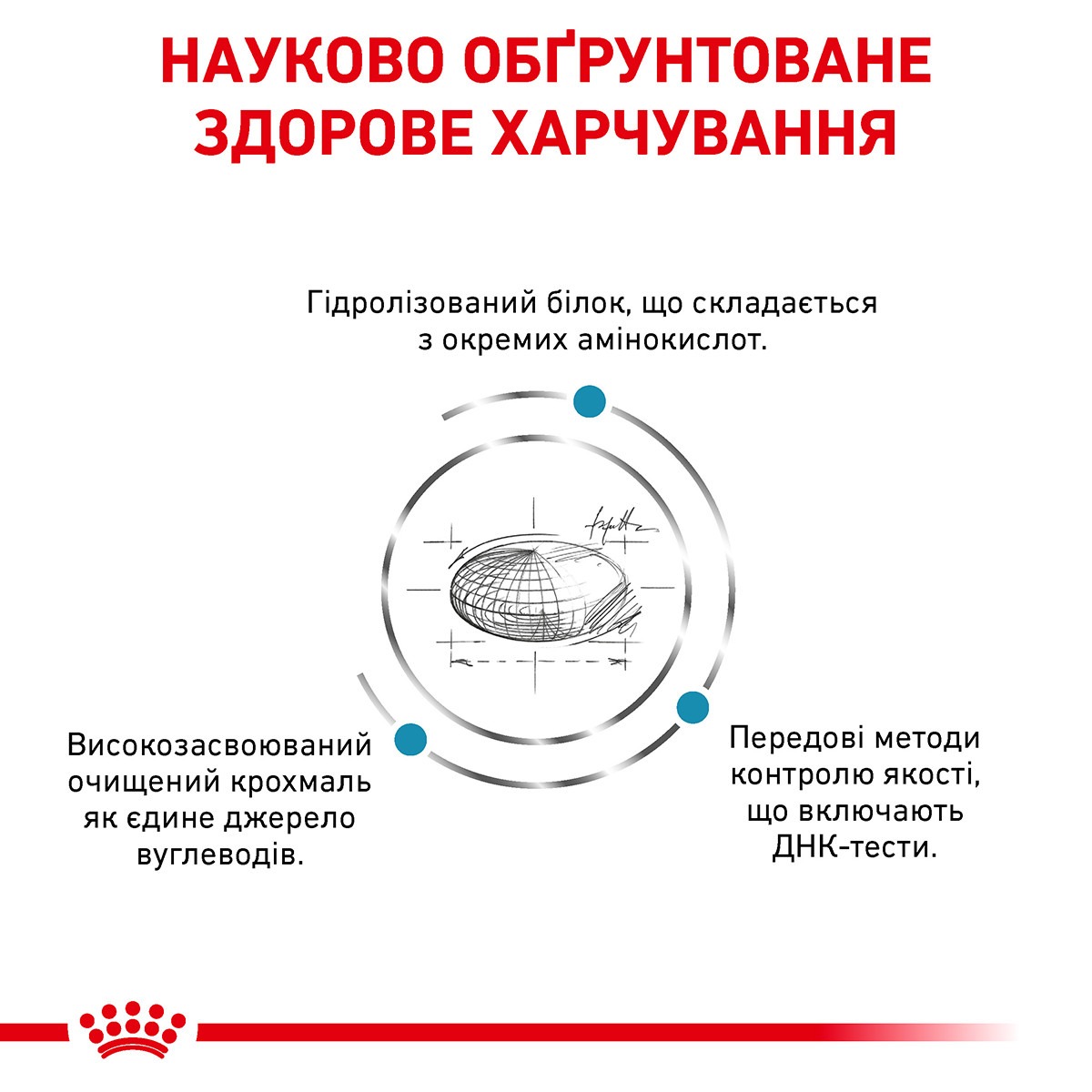 Сухий лікувальний корм для дорослих кішок при харчовій алергії Royal Canin Veterinary Anallergenic s/o index 