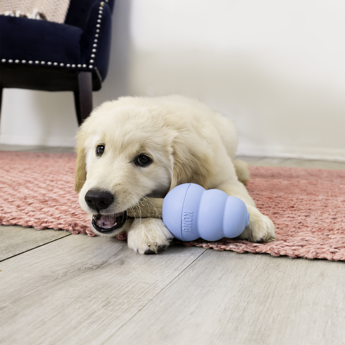 KONG Ziggies Enhanced Puppy Жувальні ласощі для зубів цуценят Палички Фітодент