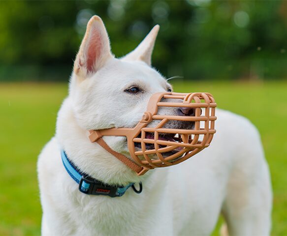 Анатомический намордник для собак корзинка Baskerville Classic Basket Muzzle