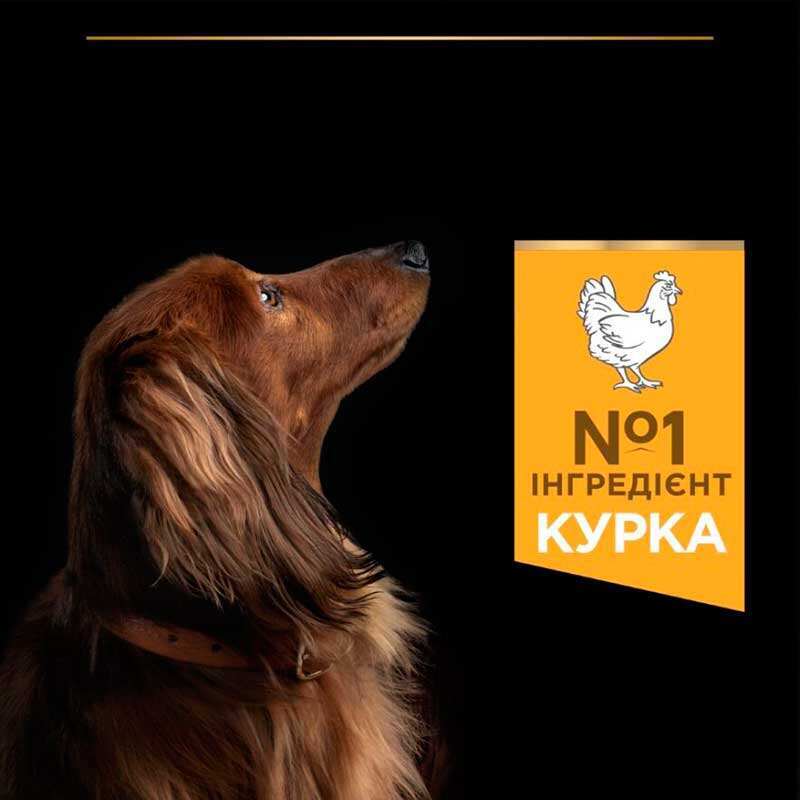 Сухой корм с курицей для взрослых собак маленьких пород Purina Pro Plan Small & Mini Everyday Nutrion Adult 1+ Chicken