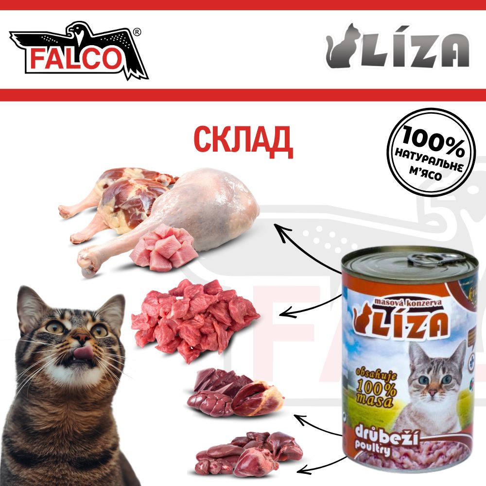 Консервоване м'ясо для кішок крупних порід Асорті з Птаха FALCO LIZA Big Cat 100% Meat Poultry