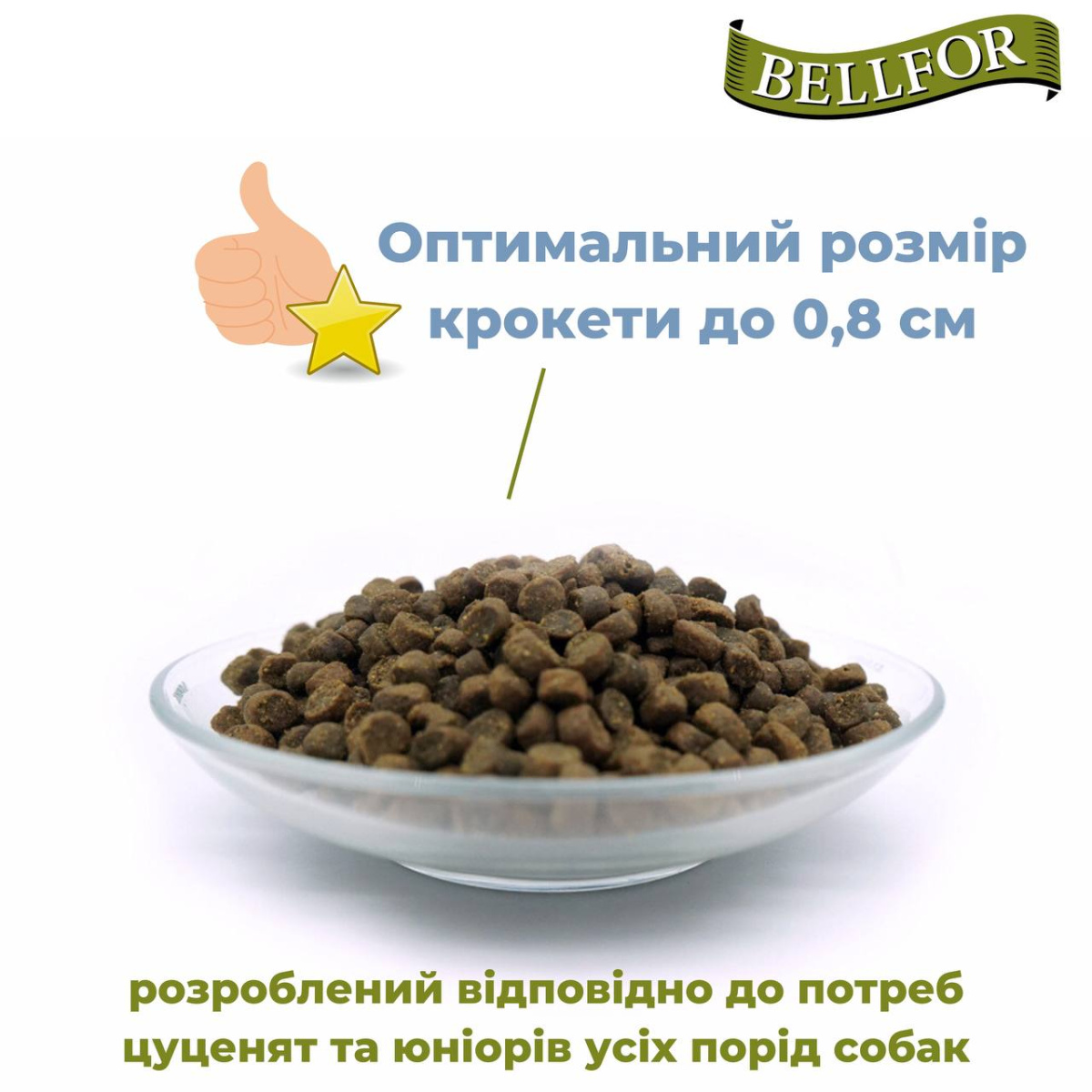 Беззерновой питательный сухой корм холистик с курицей для щенков и юниоров Bellfor Freiland Schmaus Junior