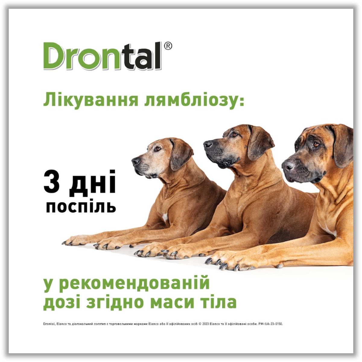 Таблетки для цуценят та дорослих собак проти гельмінтів та лямблій Дронтал Плюс Elanco Drontal Plus Puppies & Dogs