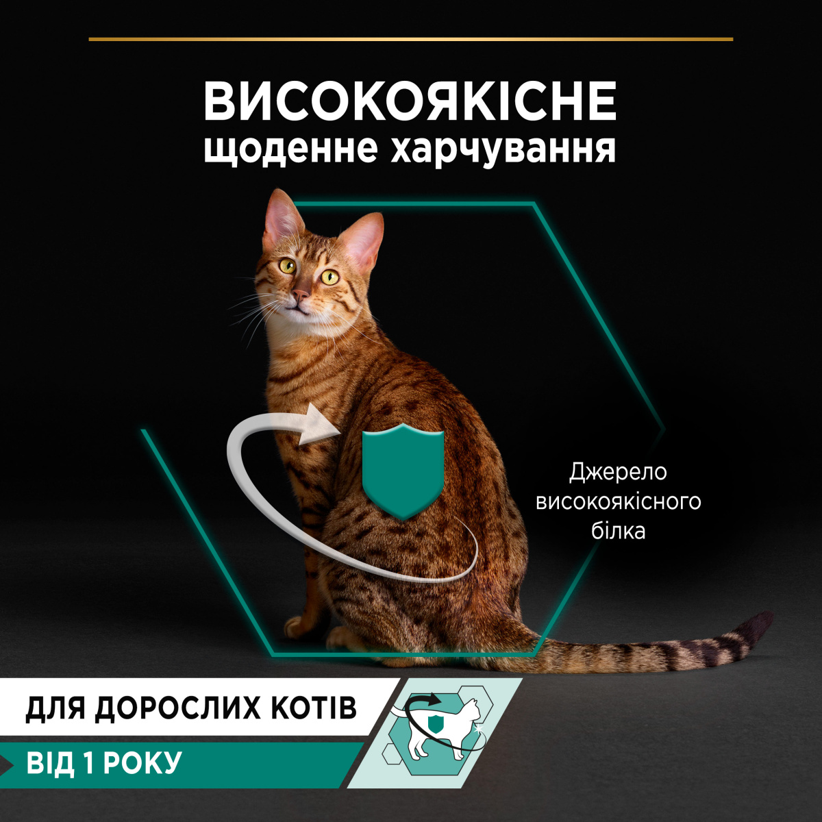 Консерва для дорослих котів Шматочки курки у паштеті Purina Pro Plan Adult Maintenance Chicken