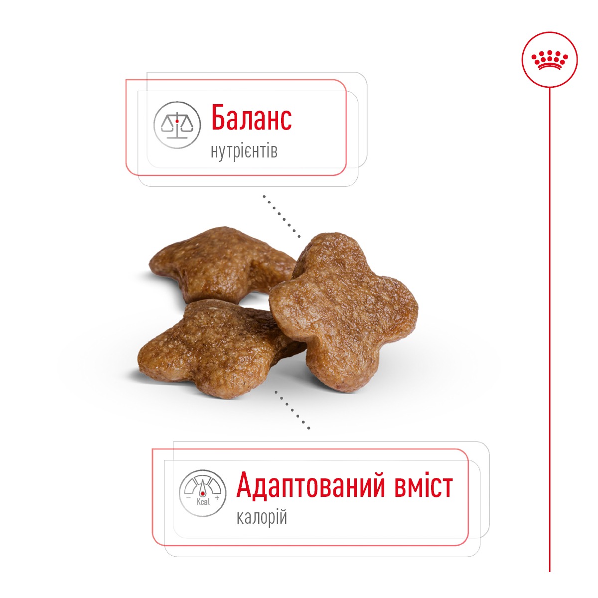 Сухий корм для літніх собак маленьких порід віком від 8 років Royal Canin Mini Adult 8+