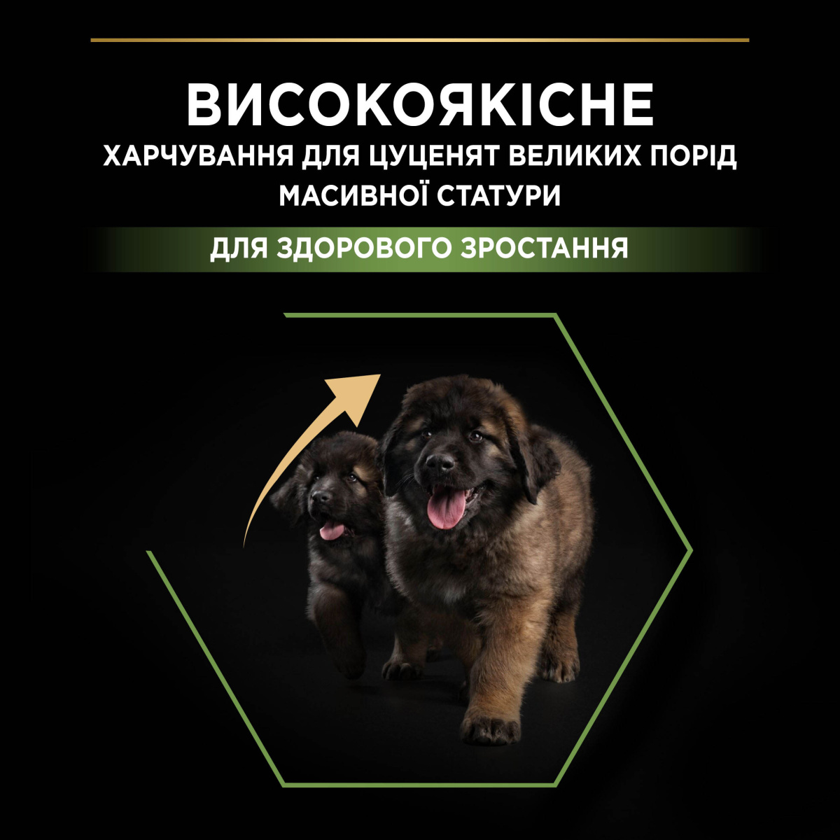 Сухий корм для здорового розвитку цуценят великих порід з Куркою Purina Pro Plan Large Robust Puppy Healthy Start Chicken