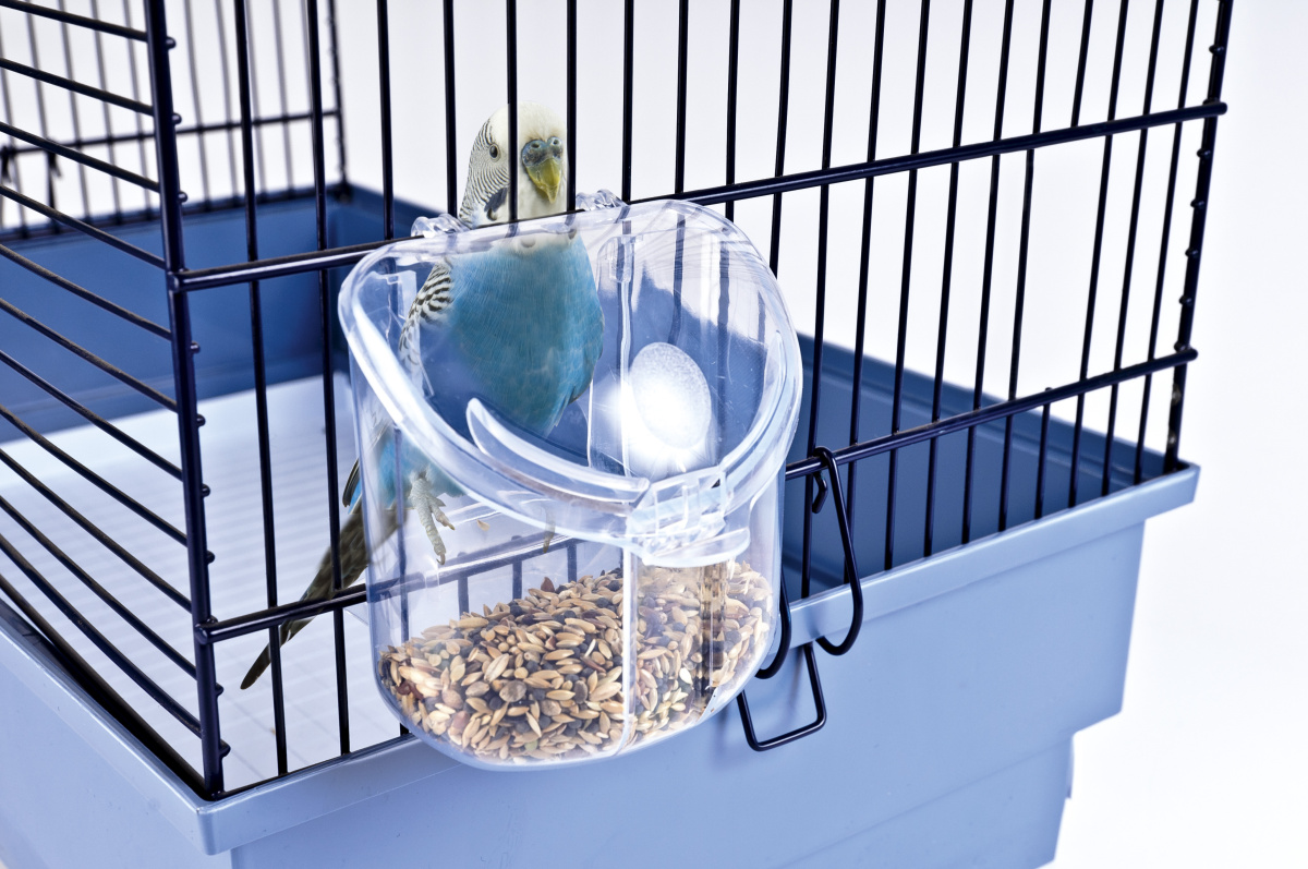 Закрытая пластиковая кормушка для птиц Imac Star