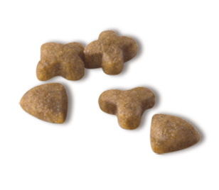 Сухий корм для дорослих кішок з чутливим травленням Royal Canin Sensible 33