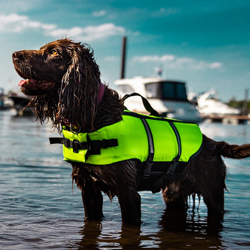 Спасательный жилет со светоотражающими полосками и ручкой для собак Elen Swimming Vest Nobby Спасательный жилет со светоотражающими полосками и ручкой для собак Elen Swimming Vest Nobby