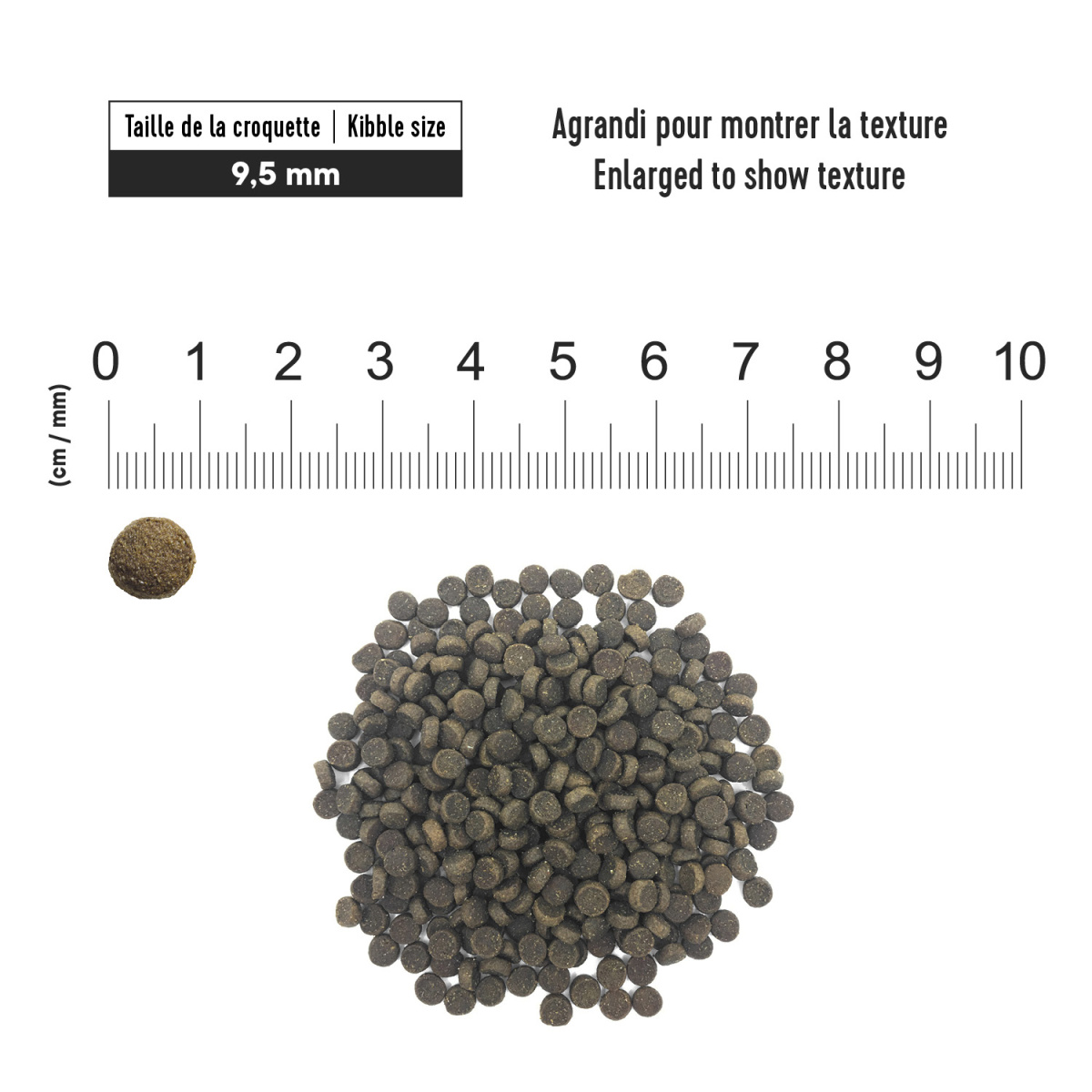 Сухий корм з лососем для кішок віком від 1 до 10 років для здоров'я шкіри та шерсті 1st Choice Healthy Skin & Coat Adult