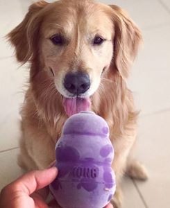 Іграшка для собак похилого віку Конг для ласощів KONG Senior