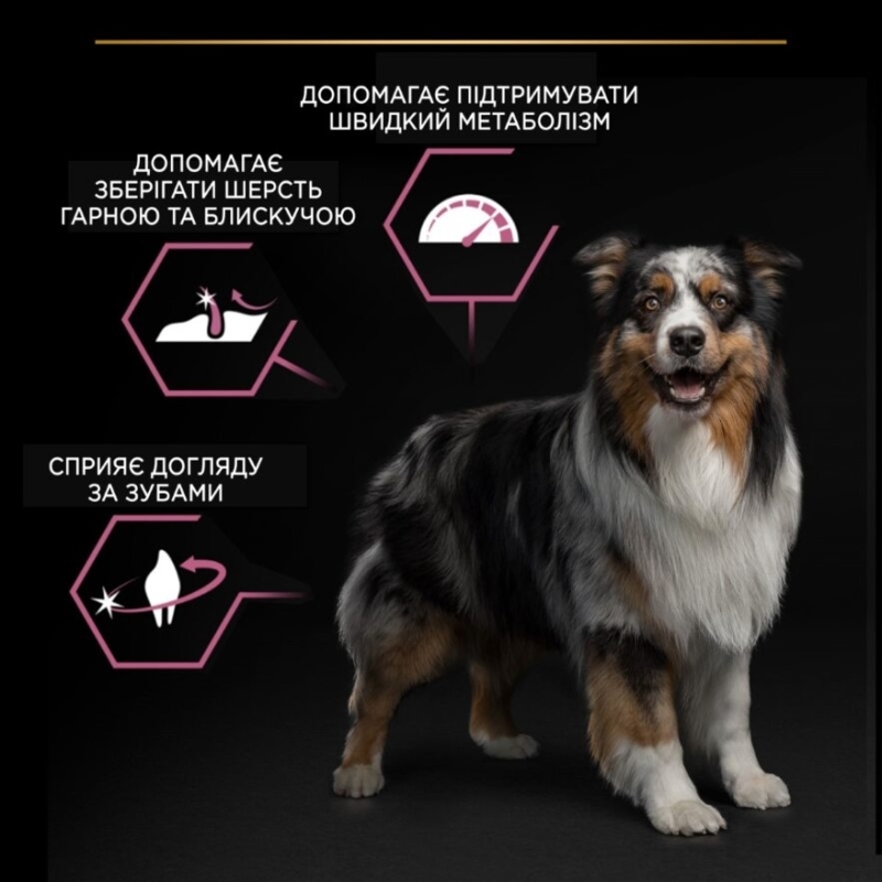 Сухой корм с лососем для средних собак с чувствительной кожей Purina Pro Plan Medium Sensitive Skin Adult 1+ Salmon Сухой корм с лососем для средних собак с чувствительной кожей Purina Pro Plan Medium Sensitive Skin Adult 1+ Salmon