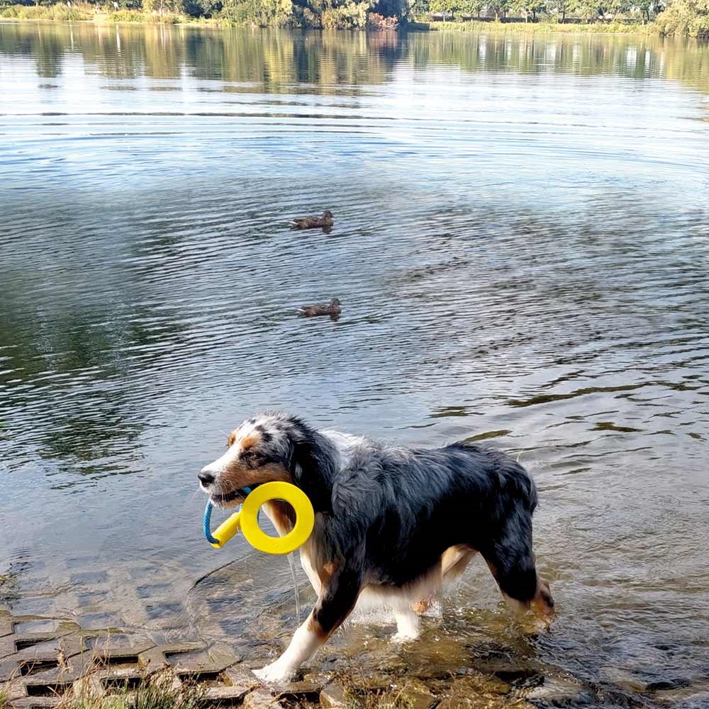 Плаваюча іграшка для великих собак Жувальне Кільце Ring Floating Nobby