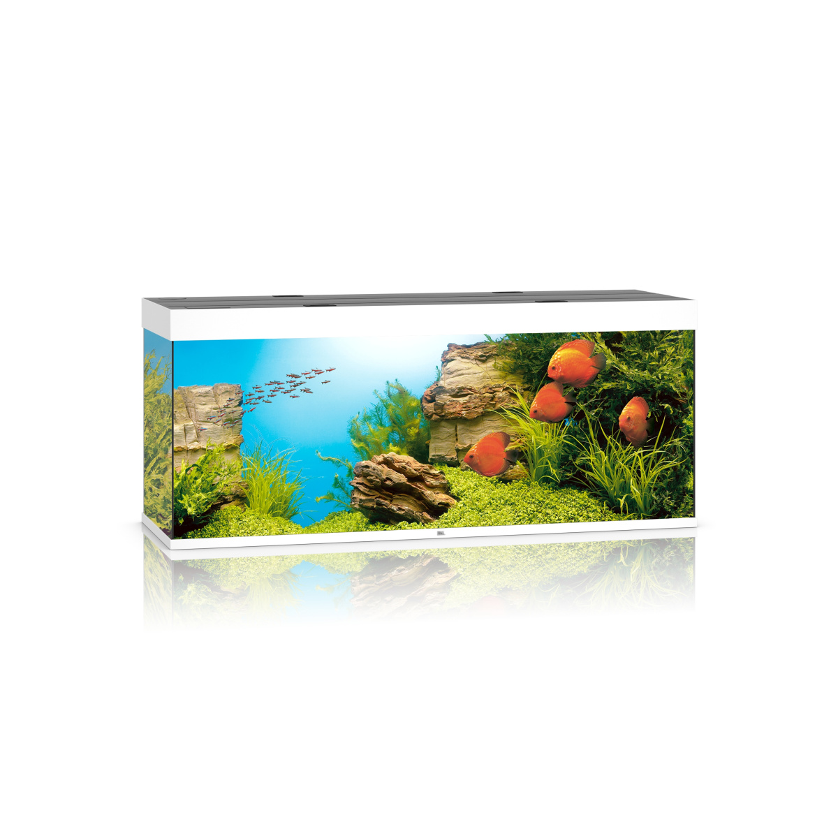 Акваріум 450 л з комплектом обладнання та системою фільтрації Bioflow XL Juwel Rio 450 LED
