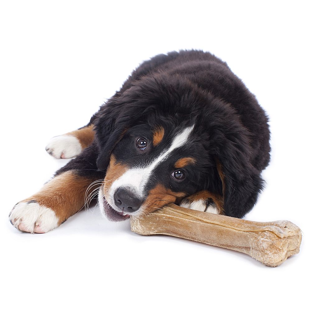 Жевательные лакомства для собак Диетическая Косточка из Кожи Буйвола Nobby Snack Dog Chews Low Fat Bones