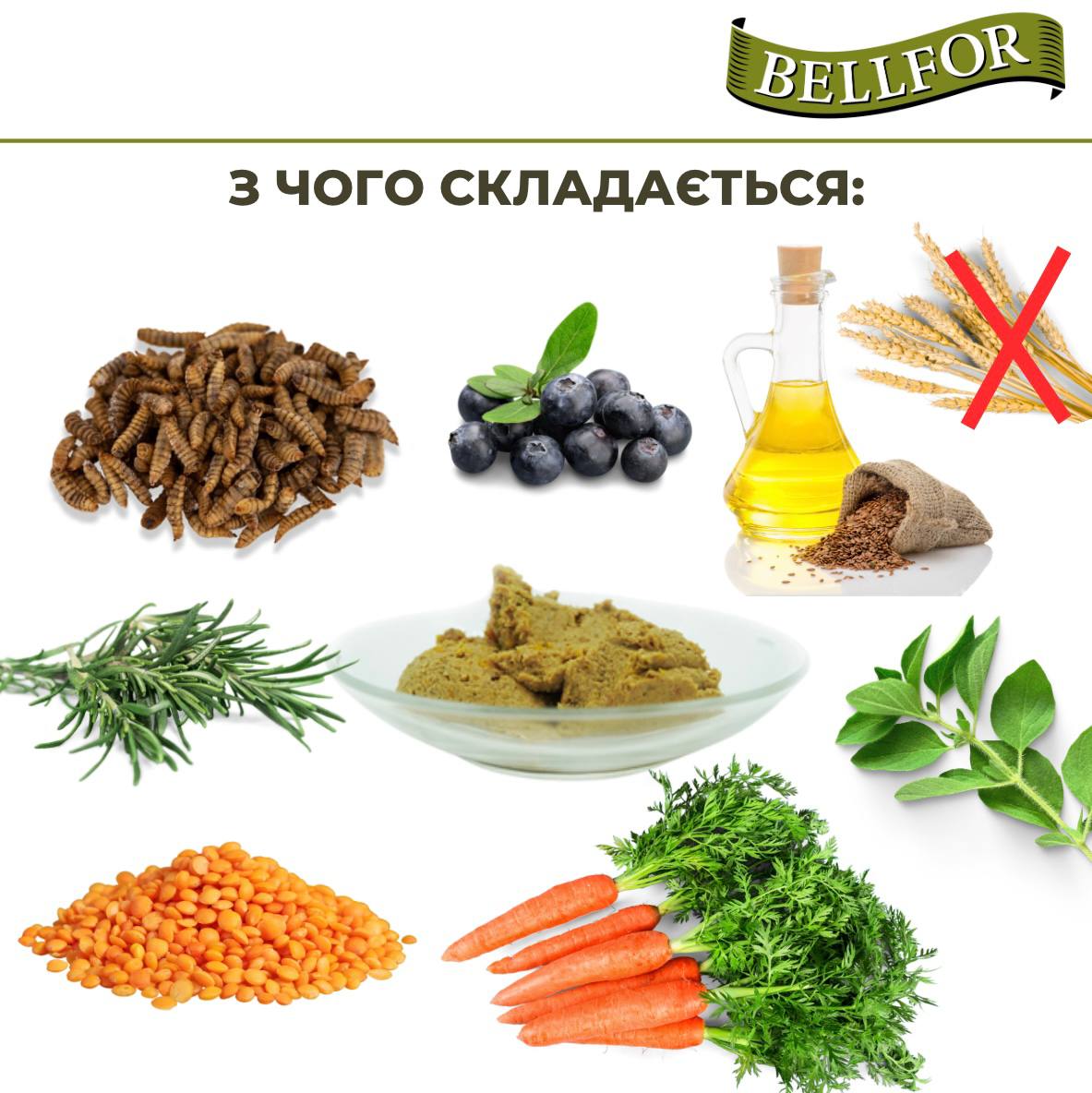 Гіпоалергенна беззернова консерва для собак з білком комах та чорницею Bellfor Naturfarm-Menu Insect Гіпоалергенна беззернова консерва для собак з білком комах та чорницею Bellfor Naturfarm-Menu Insect