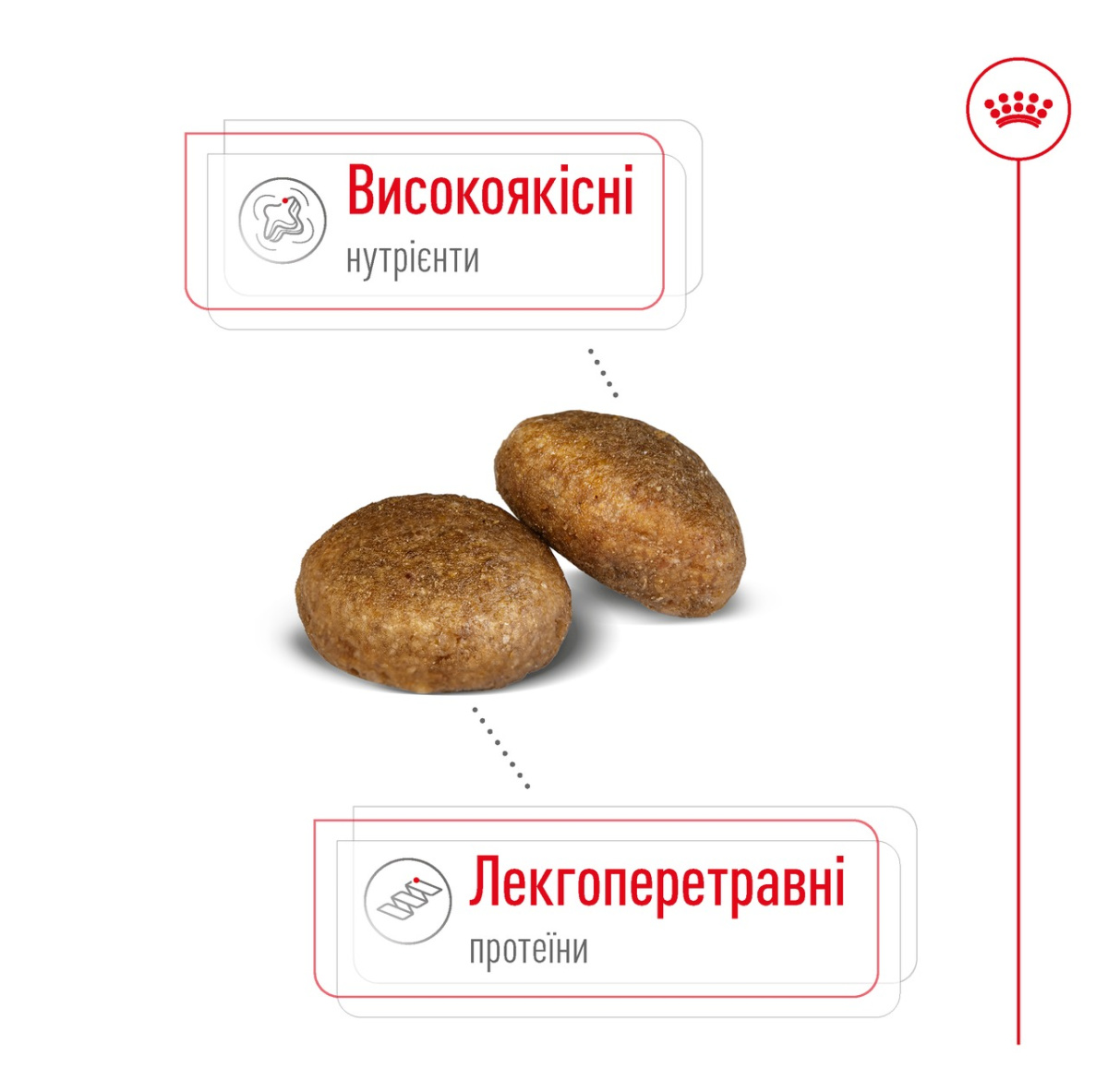 Сухий корм для собак великих порід віком від 15 місяців до 5 років Royal Canin Maxi Adult