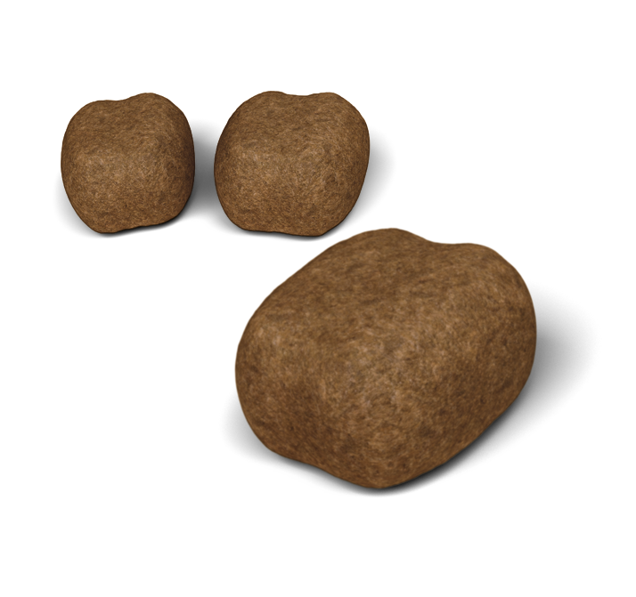 Сухой корм для предотвращения образования зубного камня и налета у котов Royal Canin Oral Care