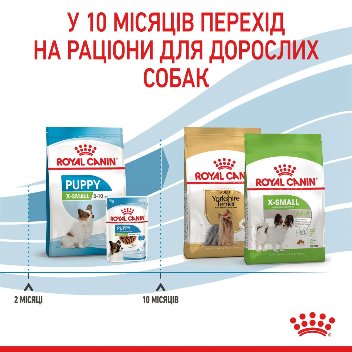 Сухой корм для щенков миниатюрных пород в возрасте от 2 до 10 месяцев Royal Canin X-Small Puppy