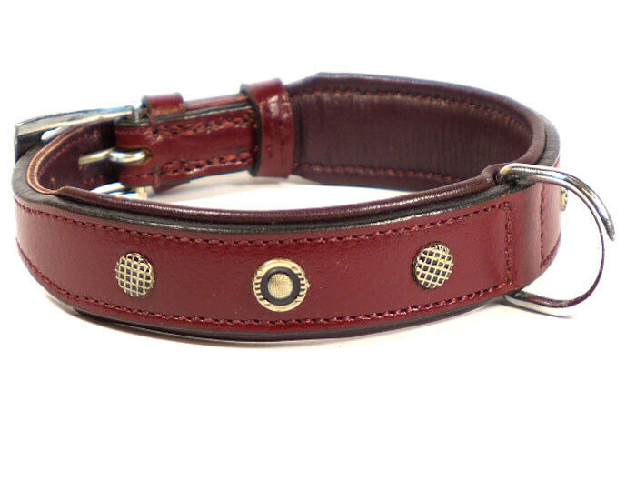 Шкіряний нашийник з прикрасами для маленьких собак Leather Catori Collar Nobby