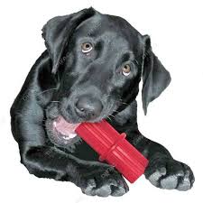 Іграшка для собак Палиця Конг для ласощів та очищення зубів KONG Dental Stick Іграшка для собак Палиця Конг для ласощів та очищення зубів KONG Dental Stick