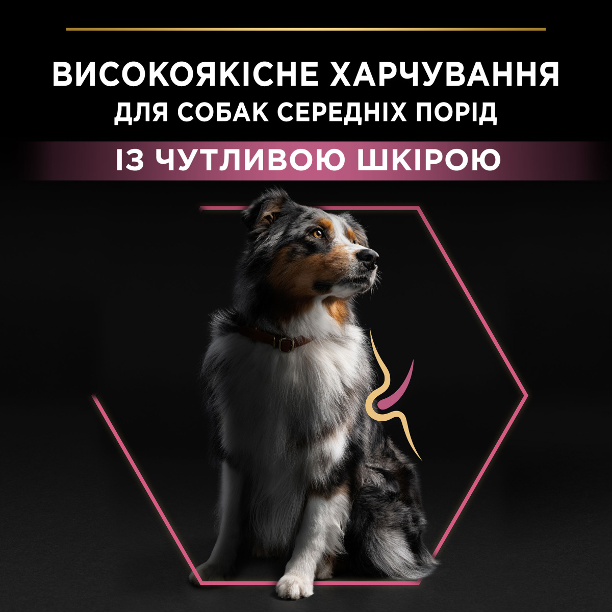 Сухий корм для середніх собак з чутливою шкірою з Лососем Purina Pro Plan Medium Adult 1+ Sensitive Skin Salmon