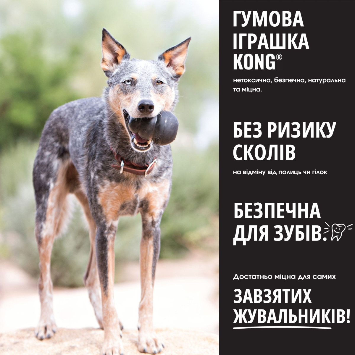 KONG Extreme Розвиваюча іграшка для собак Надміцний КОНГ для ласощів