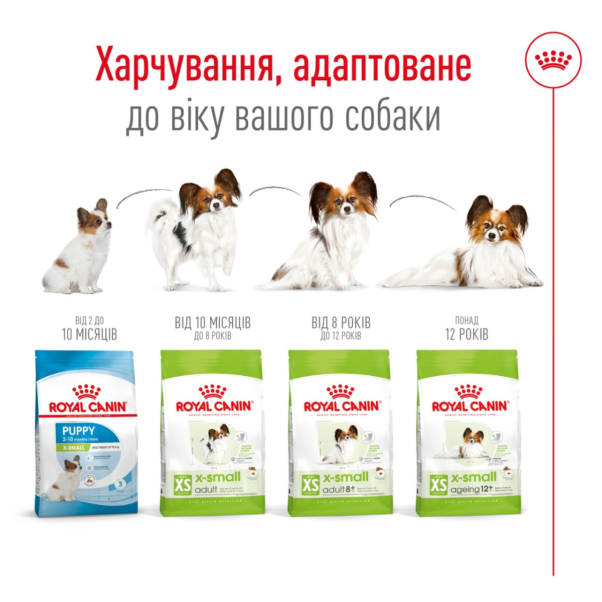 Сухой корм для собак миниатюрных пород в возрасте от 10 месяцев до 8 лет Royal Canin X-Small Adult Сухой корм для собак миниатюрных пород в возрасте от 10 месяцев до 8 лет Royal Canin X-Small Adult