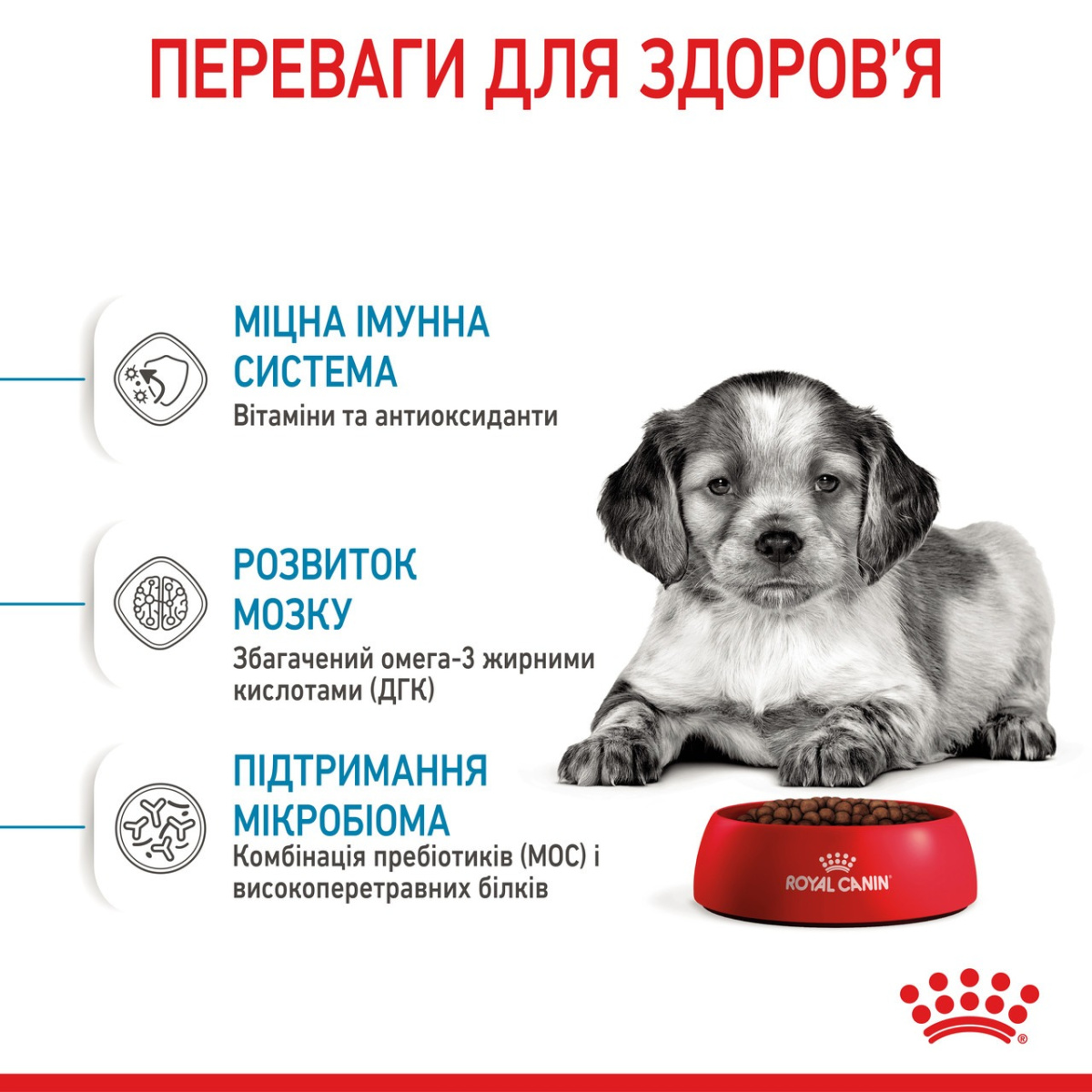 Сухой корм для щенков средних пород в возрасте от 2 до 12 месяцев Royal Canin Medium Puppy