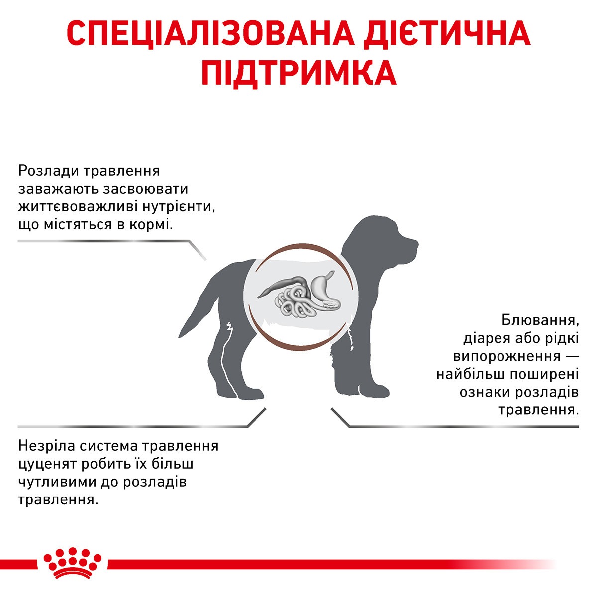 Сухий лікувальний корм для цуценят при гострих розладах травлення Royal Canin Veterinary Gastrointestinal Puppy