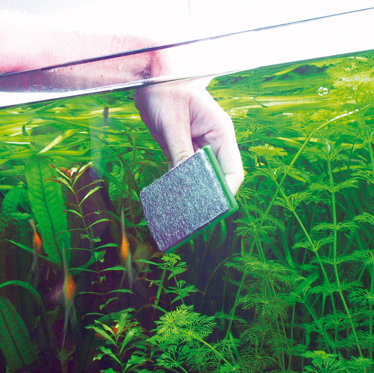 Очищувальний скребок, що не залишає подряпин на склі акваріума JBL Blanki