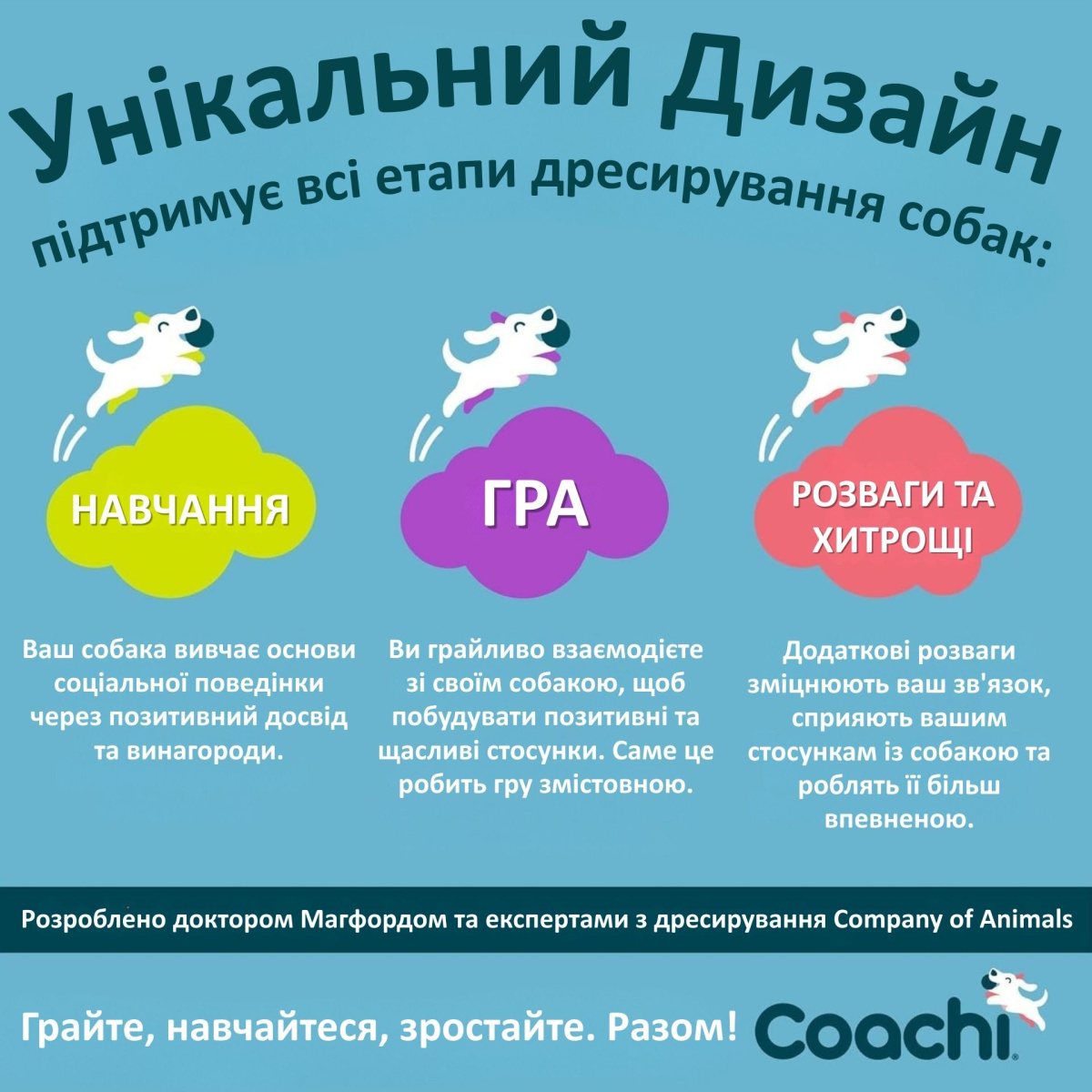 Тренировочный поводок для щенков Coachi Puppy Training Line 