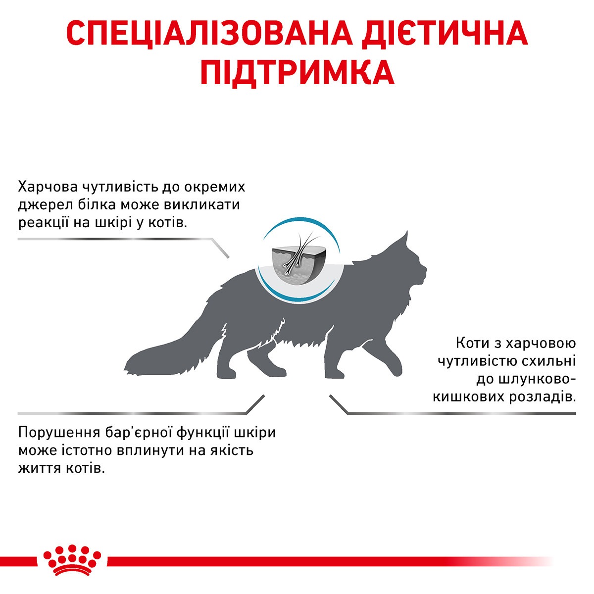 Сухий лікувальний корм для дорослих кішок при харчовій алергії або непереносимості Royal Canin Veterinary Hypoallergenic s/o index