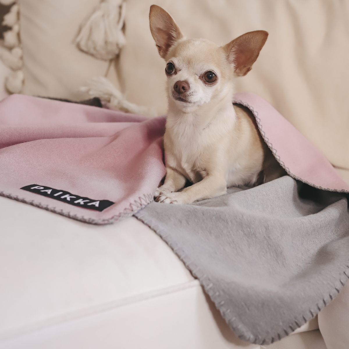 Восстанавливающее розовое FIR-одеяло с дорожной сумкой для собак PAIKKA Recovery Blanket Pink Восстанавливающее розовое FIR-одеяло с дорожной сумкой для собак PAIKKA Recovery Blanket Pink