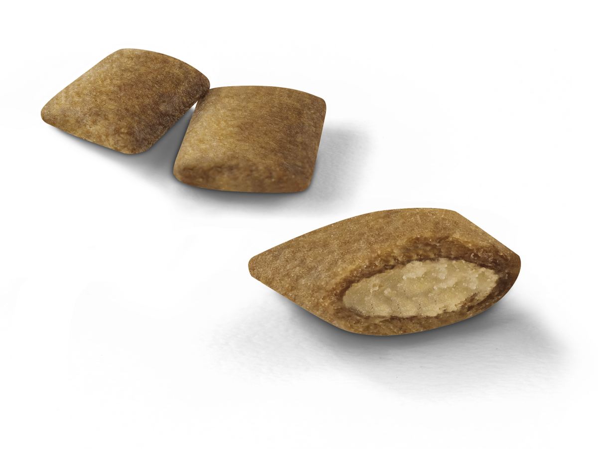 Сухой корм для стареющих кошек в возрасте от 12 лет Royal Canin Senior Ageing 12+