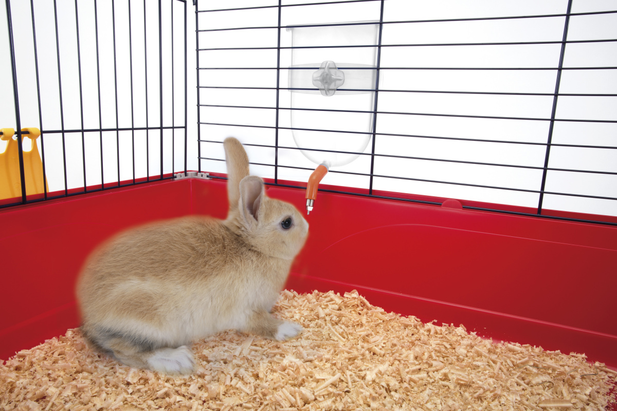 Ніпельна напувалка з тримачем для гризуна Imac Bibber 800