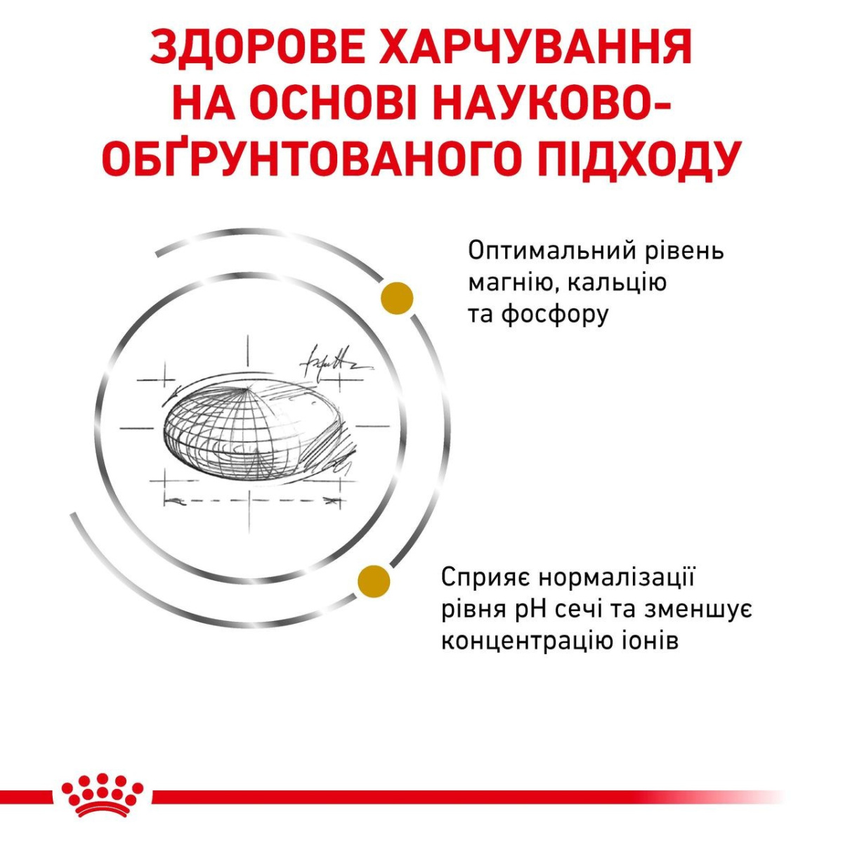 Сухий лікувальний корм для дорослих котів при захворюваннях нижніх сечовивідних шляхів Royal Canin Veterinary Urinary S/O
