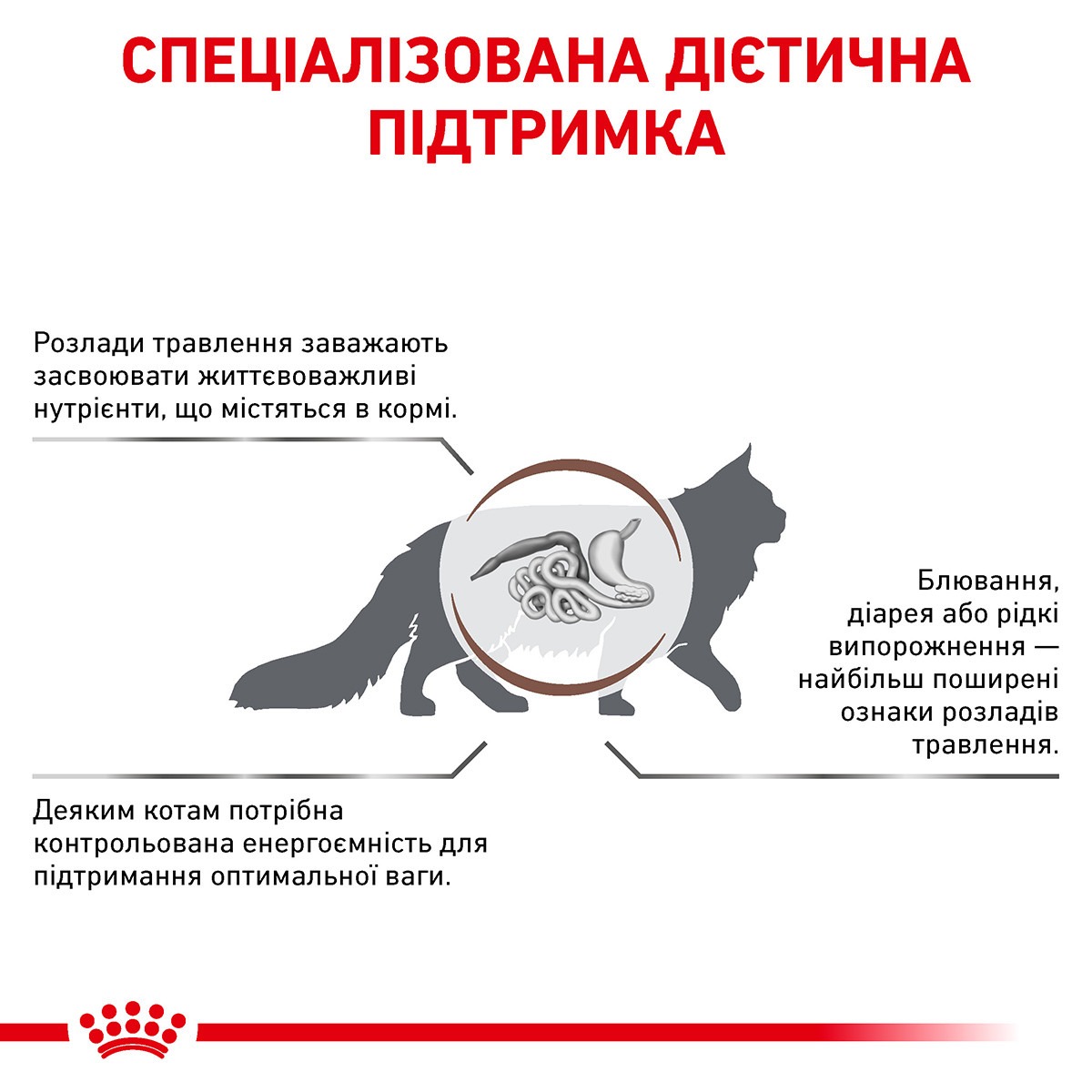Сухий лікувальний корм для котів при гострих та хронічних закрепах Royal Canin Veterinary Gastrointestinal Fibre Response s/o index