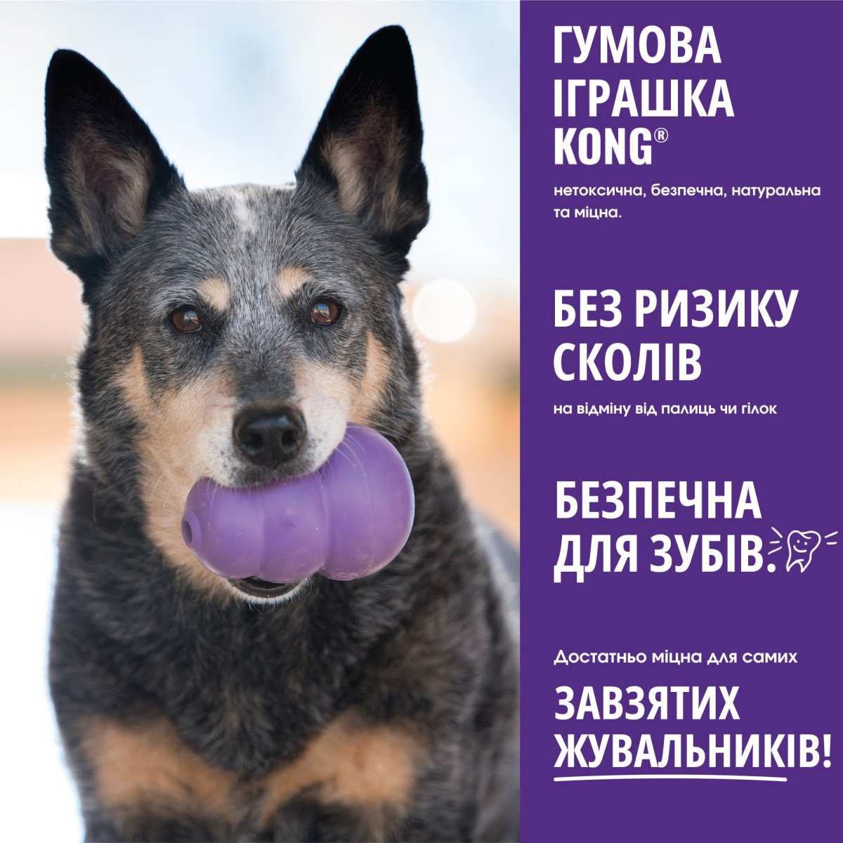 KONG Senior Інтерактивна іграшка для собак похилого віку КОНГ для ласощів