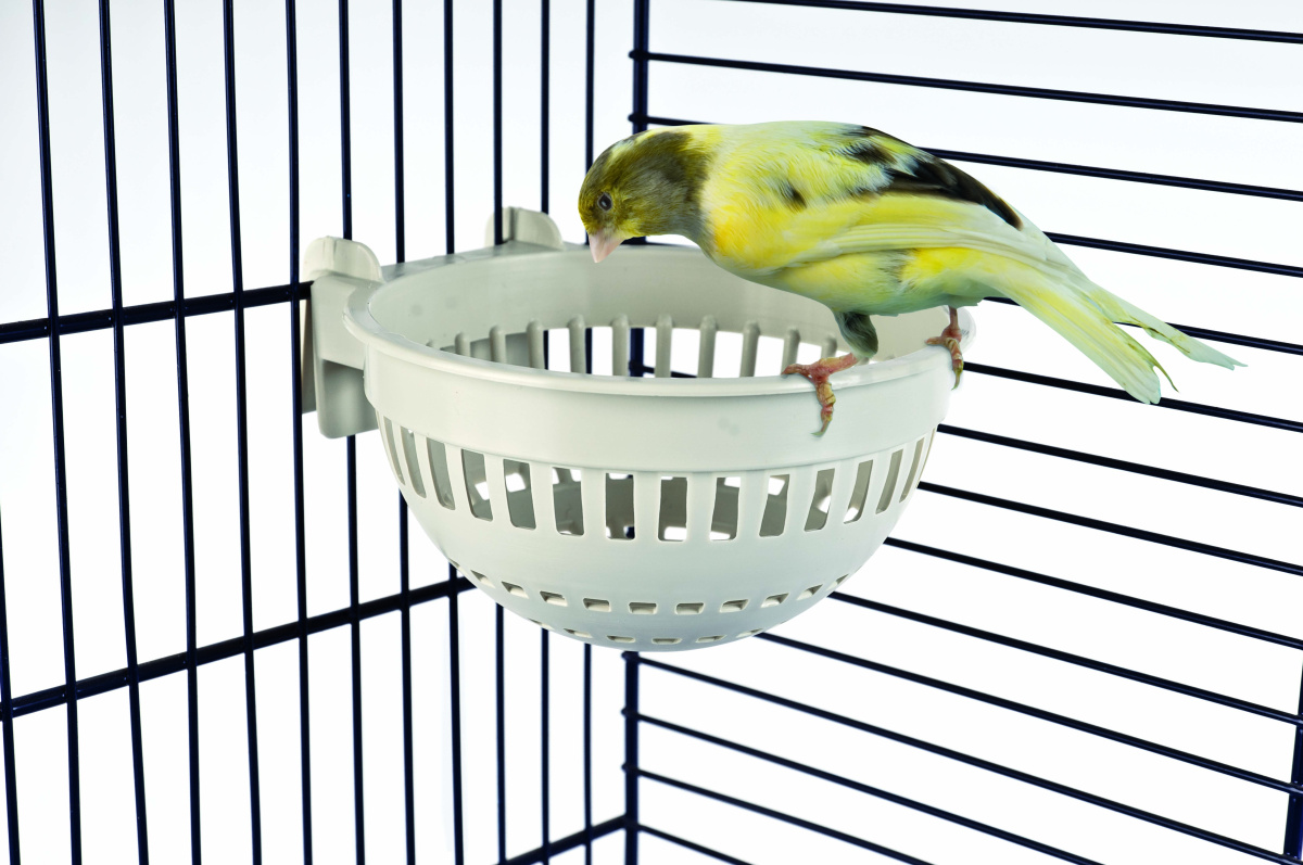 Чашечный держатель овощей и фруктов для птиц Imac Porta Nida