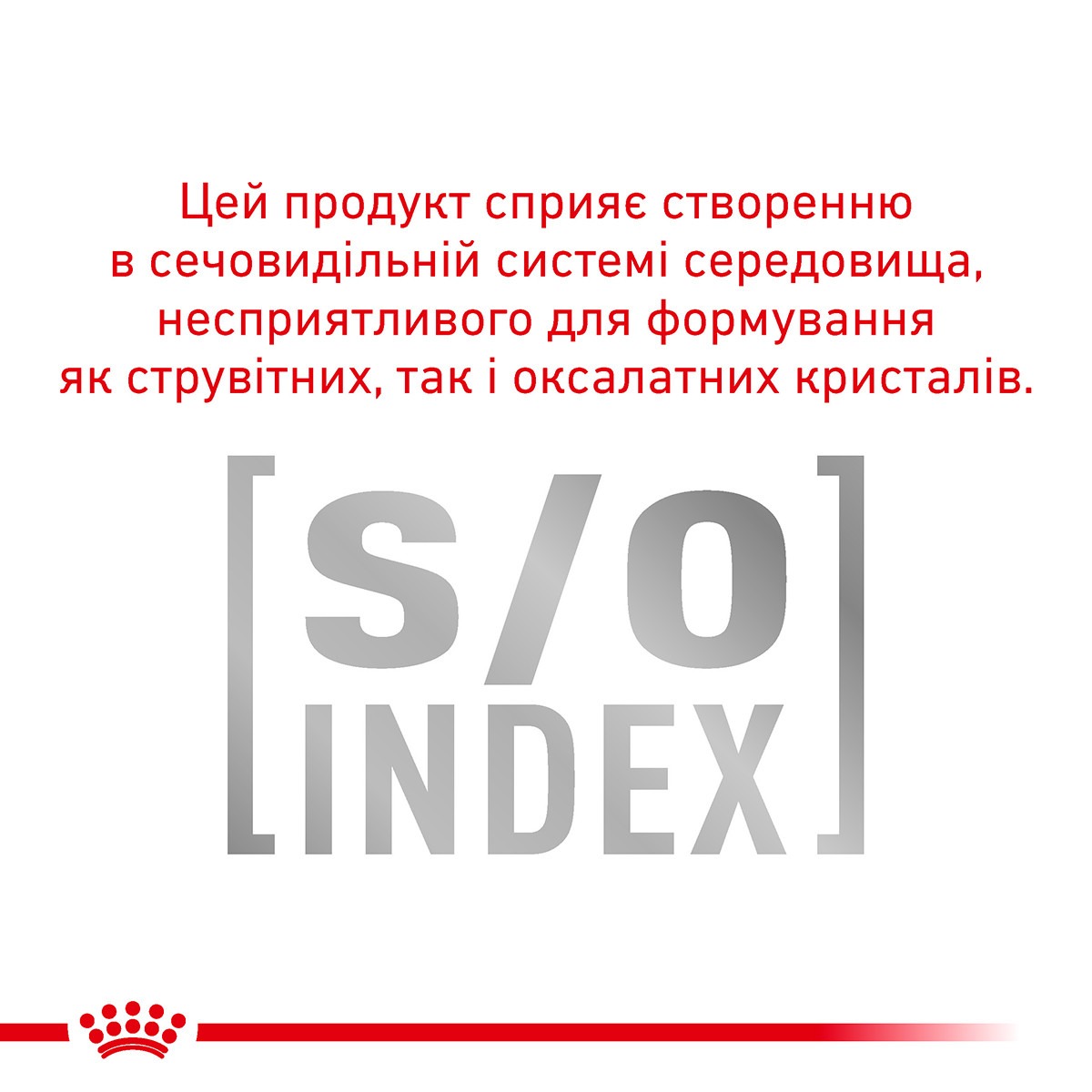 Сухий лікувальний корм для дорослих кішок при харчовій алергії Royal Canin Veterinary Anallergenic s/o index 