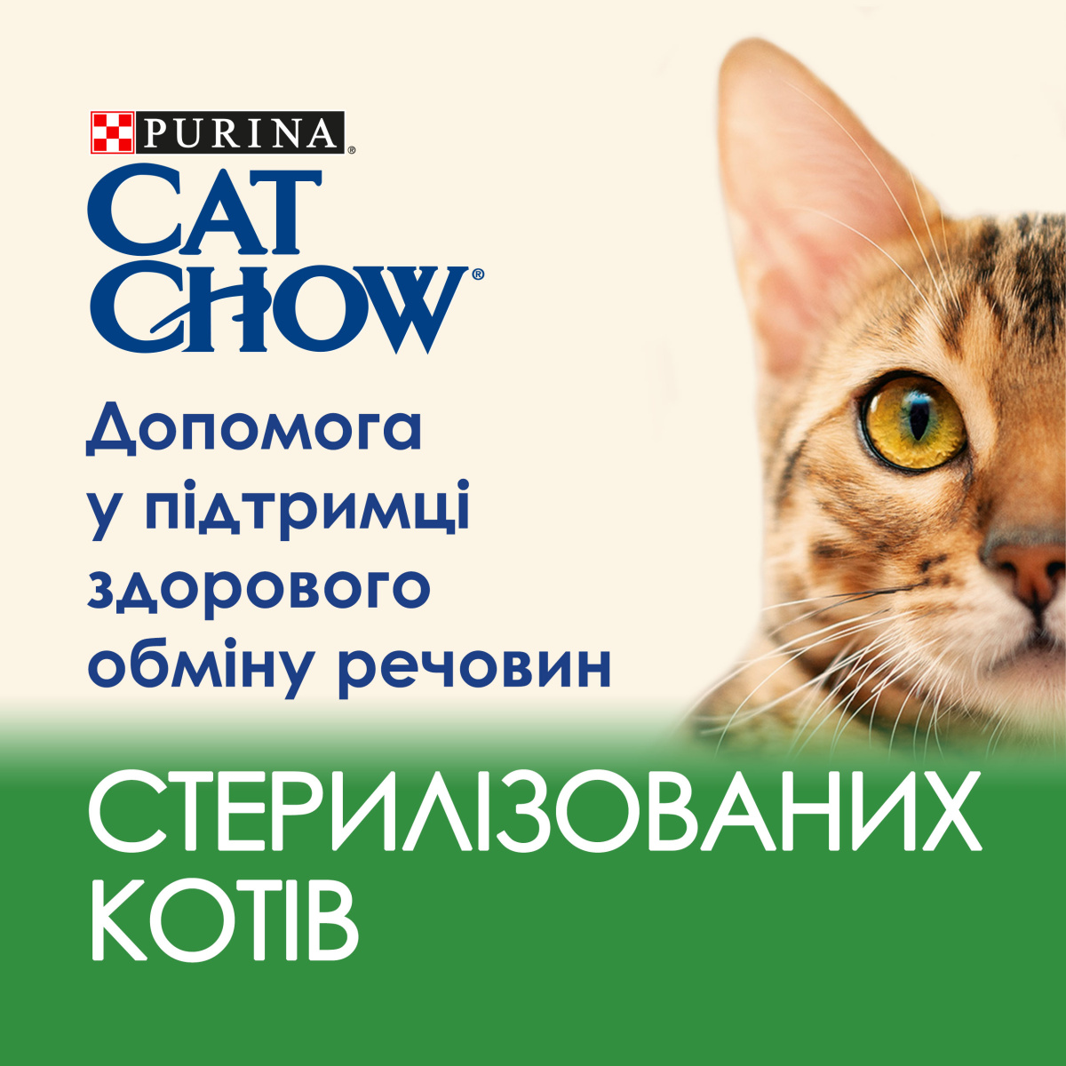 Вологий корм для стерилізованих котів Шматочки в соусі з ягням та зеленою квасолею Purina Cat Chow Sterilised Lamb & Green Beans Вологий корм для стерилізованих котів Шматочки в соусі з ягням та зеленою квасолею Purina Cat Chow Sterilised Lamb & Green Beans