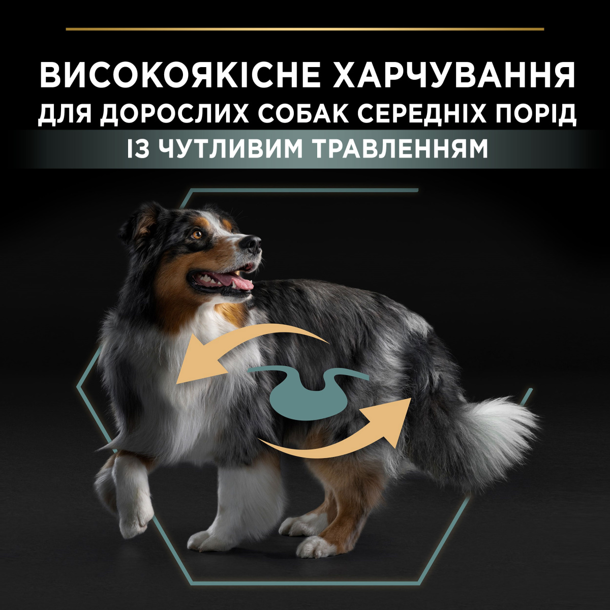 Сухий корм для середніх собак з чутливим травленням з Ягням Purina Pro Plan Medium Adult 1+ Sensitive Digestion Lamb